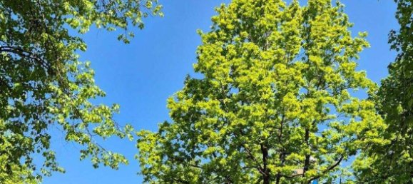 Квартира с 4 комнатами в Мюнхен, Германия № 238005 25