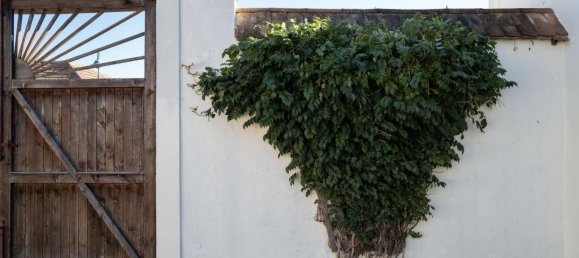 Дом с 4 спальнями в Тулльн ан дер Донау, Австрия № 258832 9