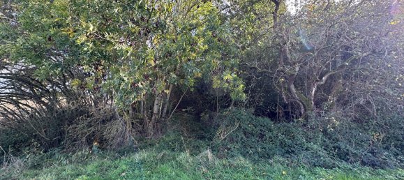 Grundstück in Neuvy-en-Sullias, France, Nr. 94811 2