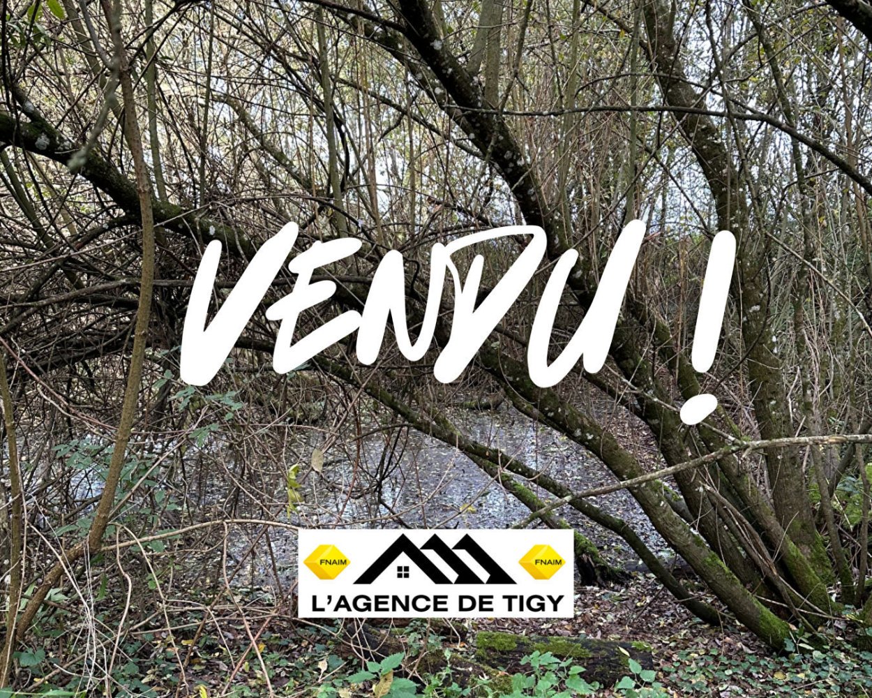 Grundstück in Neuvy-en-Sullias, France, Nr. 94811