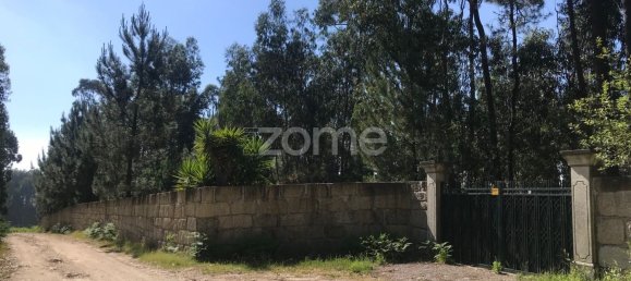 Grundstück in Guilhabreu, Portugal 21000m², Nr. 39528 7