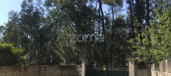 Grundstück in Guilhabreu, Portugal 21000m², Nr. 39528 6