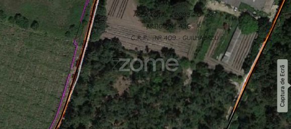 Grundstück in Guilhabreu, Portugal 21000m², Nr. 39528 11