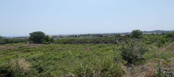 25000m² Land in Mascali, Italy No. 268850 4