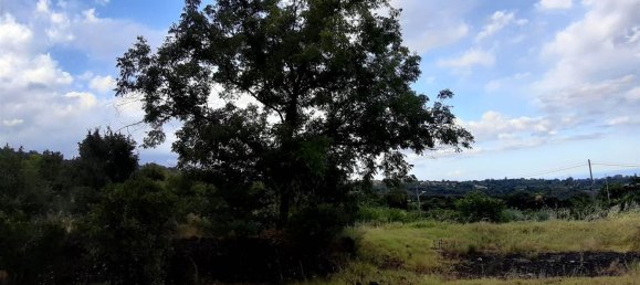 25000m² Land in Mascali, Italy No. 268850 12