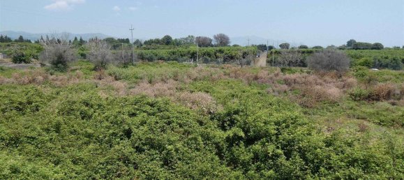 25000m² Land in Mascali, Italy No. 268850 5