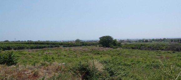 25000m² Land in Mascali, Italy No. 268850 3