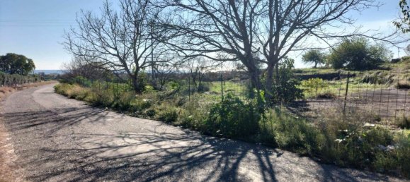 25000m² Land in Mascali, Italy No. 268850 15