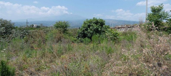 25000m² Land in Mascali, Italy No. 268850 2