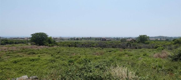 25000m² Land in Mascali, Italy No. 268850 18