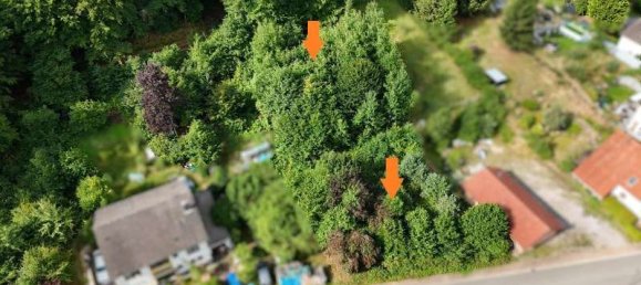  Land in Sudwestpfalz, Germany No. 234888 4