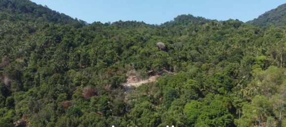  Commercial property in Surat Thani, Thailand No. 24955 2