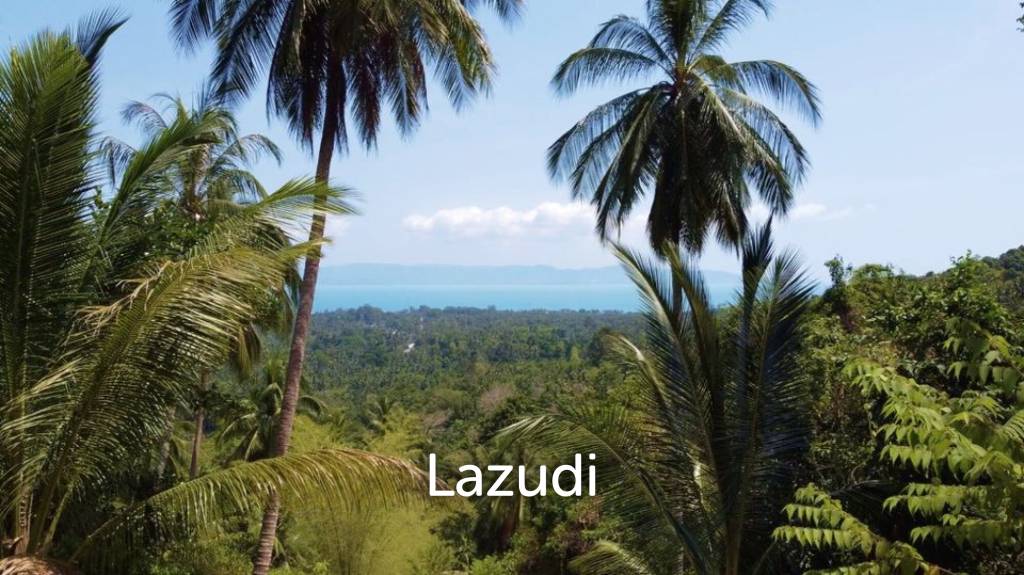  Commercial property in Surat Thani, Thailand No. 24955