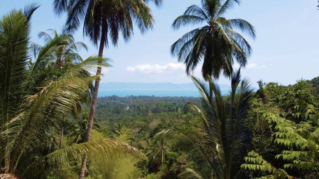 Земельный участок в Сураттхани, Таиланд № 24955