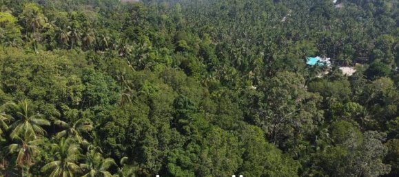  Commercial property in Surat Thani, Thailand No. 24955 3