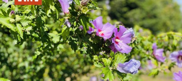 3 Schlafzimmer Stadthaus in Baden-Baden, Germany, Nr. 60613 13