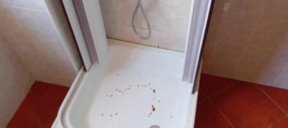 1 غرف نوم منزل في Gaviao, Portugal رقم 10556 9