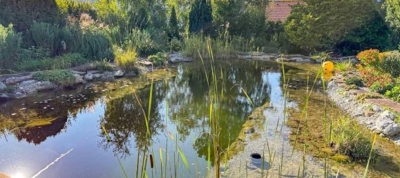 6-Zimmer Bungalow in Berndorf, Austria, Nr. 235857 6