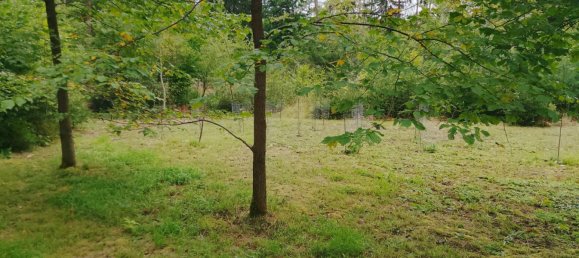 Земельный участок в Forchheim, Германия № 272929 10