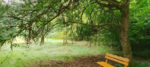 Земельный участок в Forchheim, Германия № 272929 19