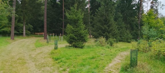 Земельный участок в Forchheim, Германия № 272929 14