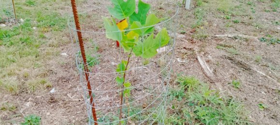 Земельный участок в Forchheim, Германия № 272929 15