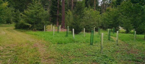 Земельный участок в Forchheim, Германия № 272929 16