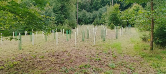 Земельный участок в Forchheim, Германия № 272929 8