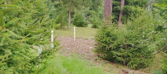 Земельный участок в Forchheim, Германия № 272929 5