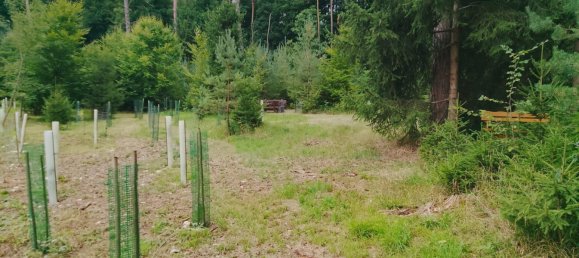 Земельный участок в Forchheim, Германия № 272929 9