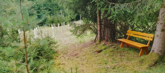 Земельный участок в Forchheim, Германия № 272929 18