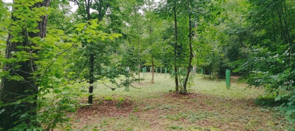 Земельный участок в Forchheim, Германия № 272929 17