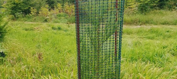 Земельный участок в Forchheim, Германия № 272929 2