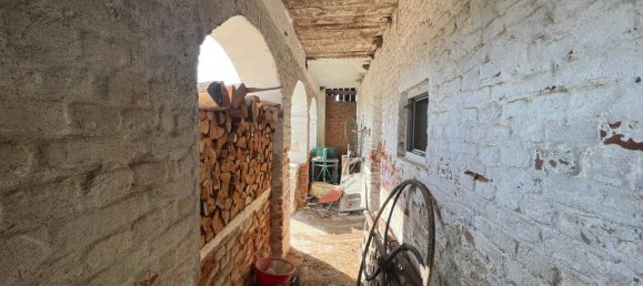 3غرفة منزل في Inzenhof, Austria رقم 14717 11