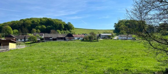 3غرفة منزل في Inzenhof, Austria رقم 14717 21