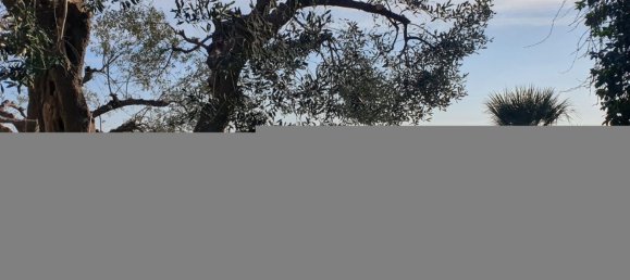 16 rooms Villa in Albissola Marina, Italy No. 132089 38