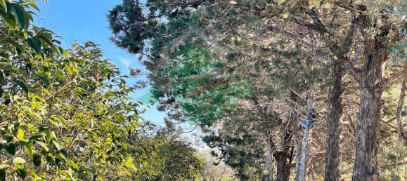 Terreno em Foggia, Italy 5000 m² N.º 99909 4