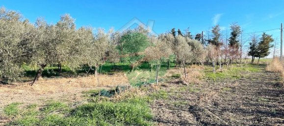Terreno em Foggia, Italy 5000 m² N.º 99909 14