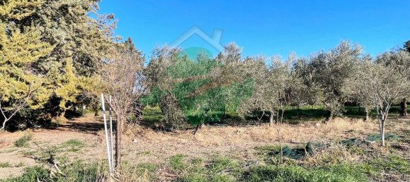 Terreno em Foggia, Italy 5000 m² N.º 99909 2