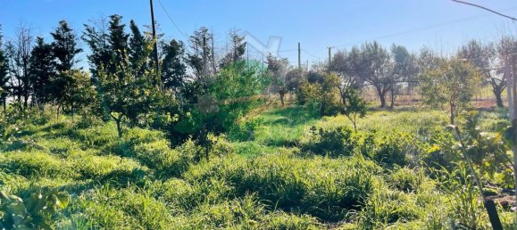 Terreno em Foggia, Italy 5000 m² N.º 99909 3