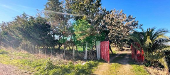 Terreno em Foggia, Italy 5000 m² N.º 99909 12