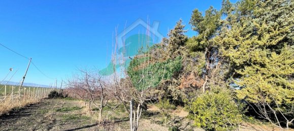 Terreno em Foggia, Italy 5000 m² N.º 99909 13