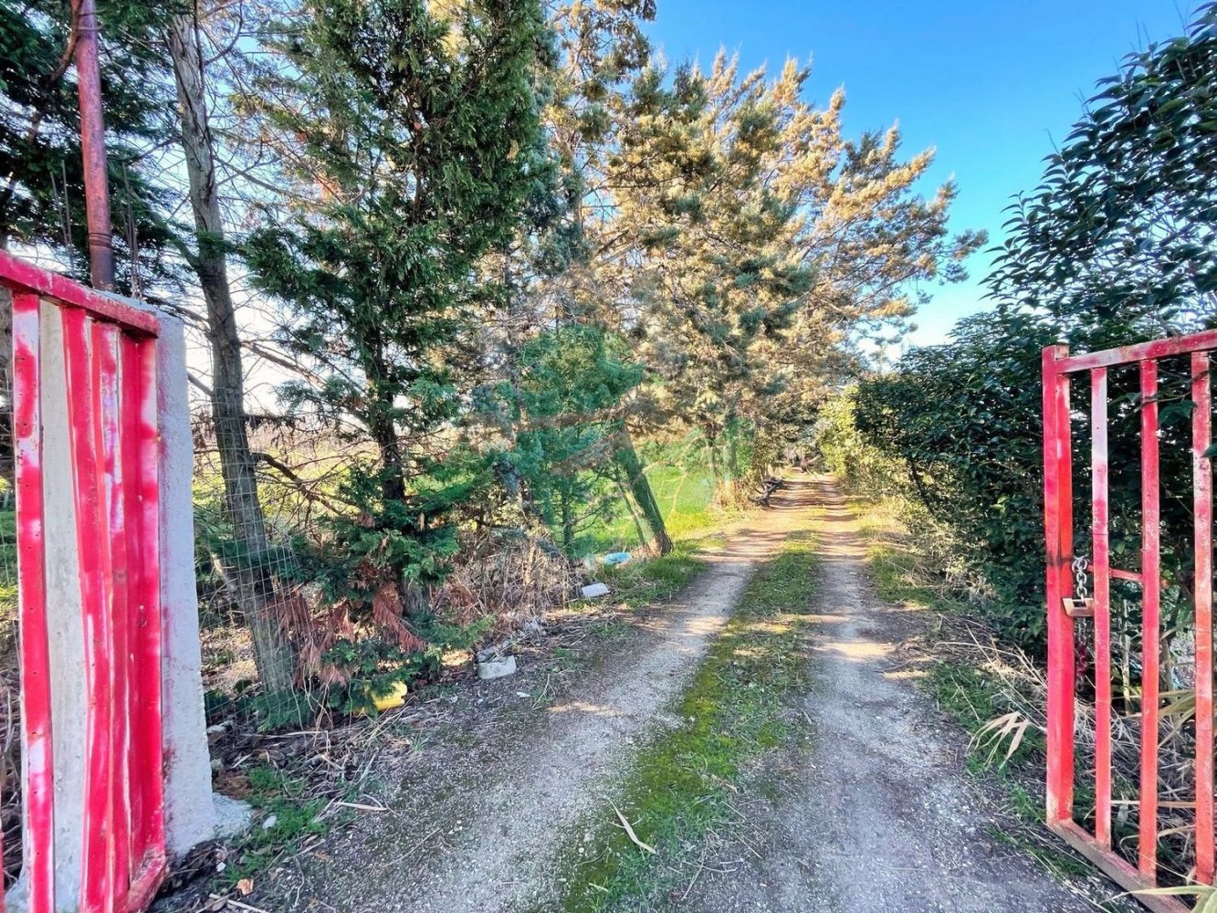 Terreno em Foggia, Italy 5000 m² N.º 99909