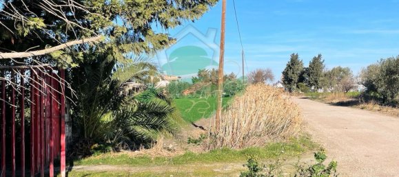 Terreno em Foggia, Italy 5000 m² N.º 99909 6