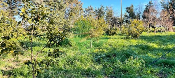 Terreno em Foggia, Italy 5000 m² N.º 99909 10