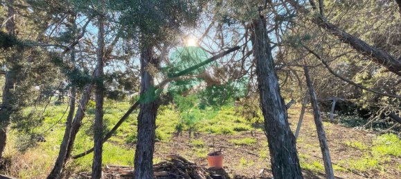 Terreno em Foggia, Italy 5000 m² N.º 99909 8