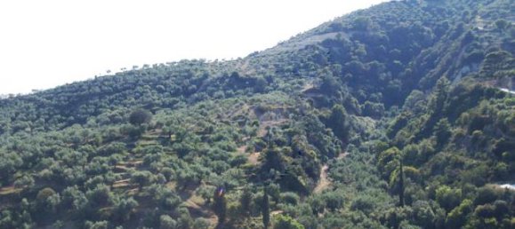 Hotel en Zakynthos, Greece No. 699 4