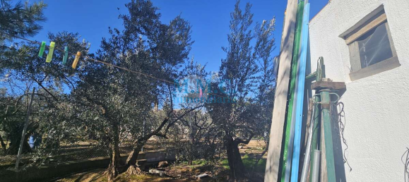 Terreno em Baza, Spain 2127 m² N.º 66047 31