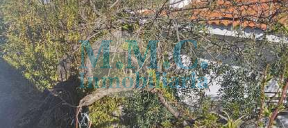 Terreno em Baza, Spain 2127 m² N.º 66047 20