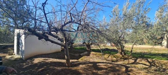 Terreno em Baza, Spain 2127 m² N.º 66047 29